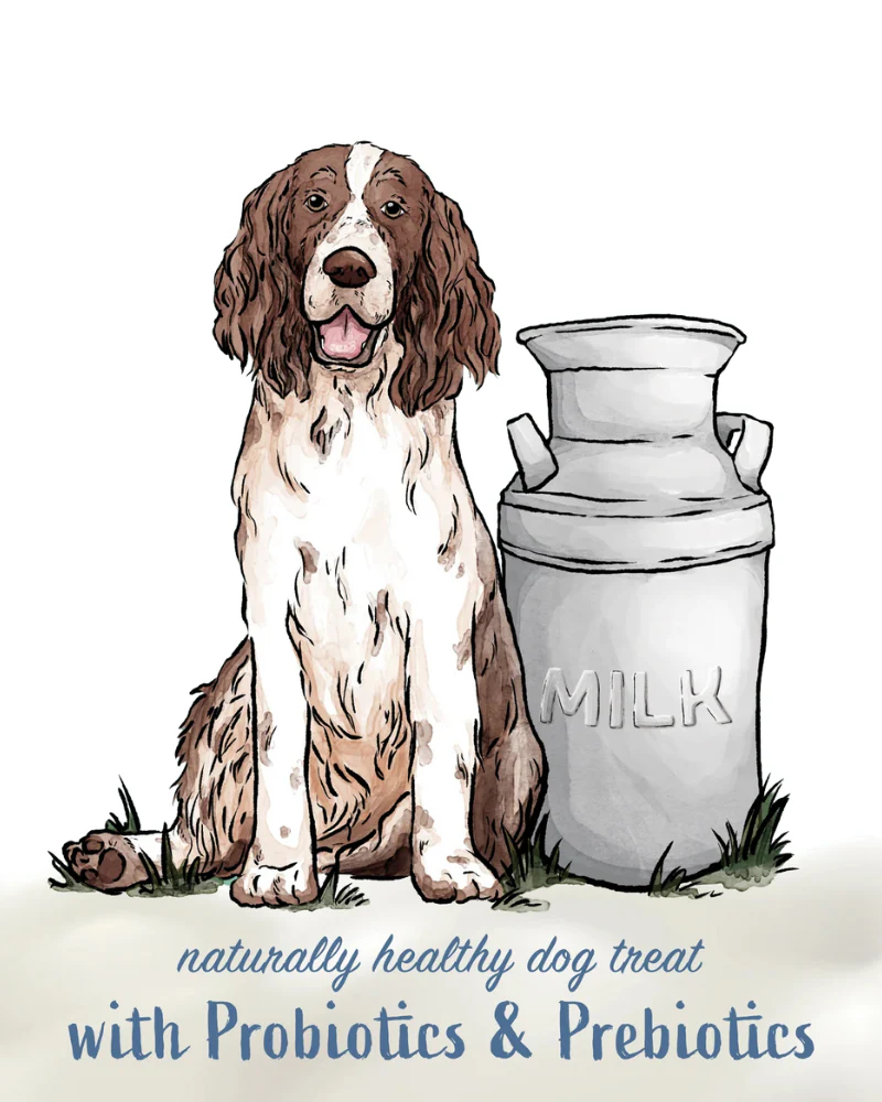 Pumpkin Yogurt Sticks Dog Treat - Image 3