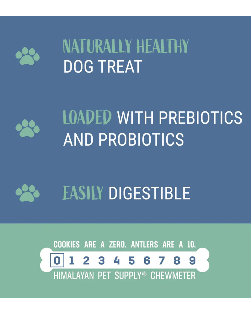 Pumpkin Yogurt Sticks Dog Treat - Image 5