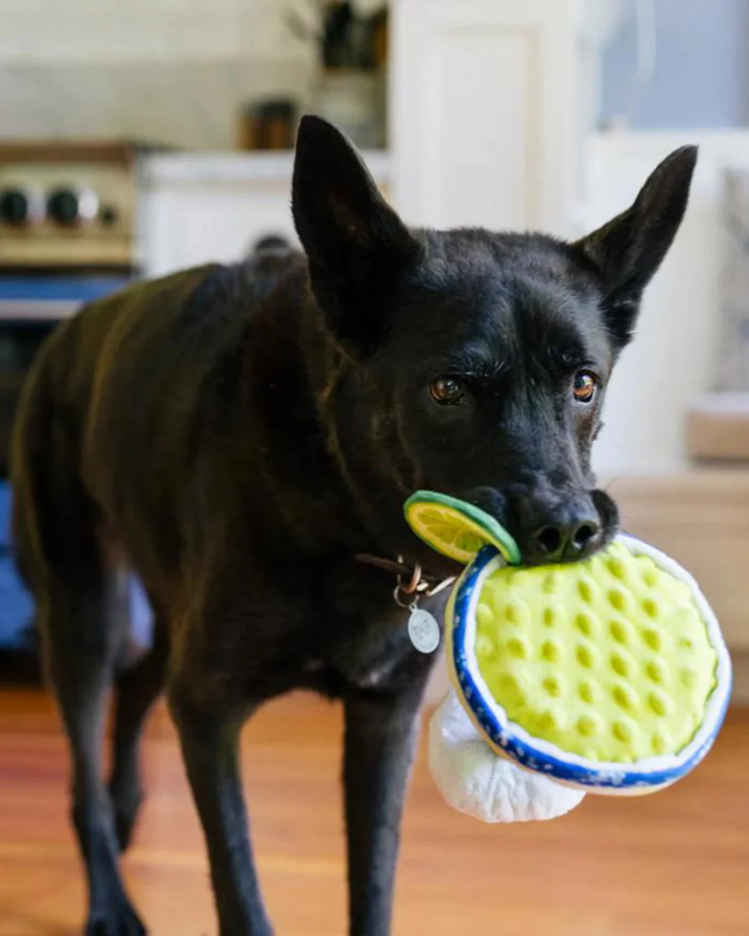 Pup-arita Margarita Squeaky Plush Dog Toy (FINAL SALE) - Image 5