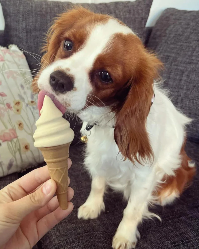 Pup Ice Waffle Cone in Vanilla and Peanut Butter - Image 5