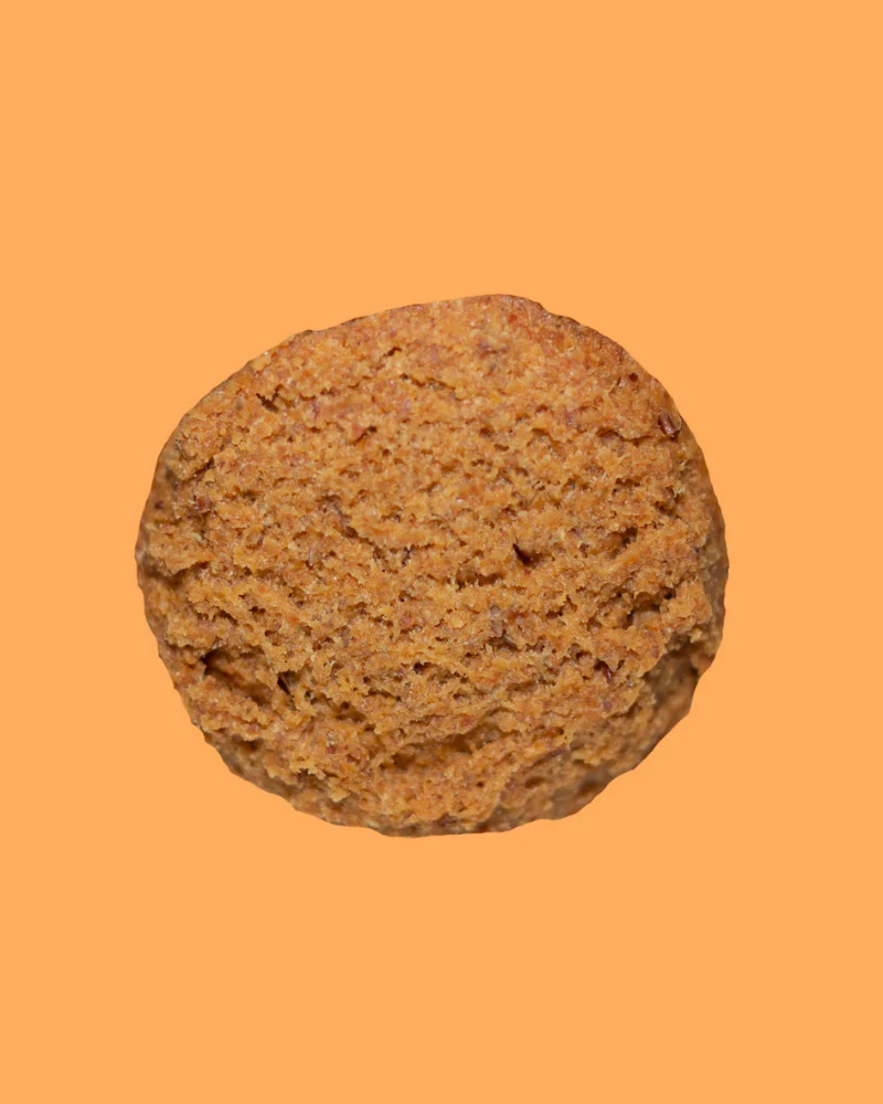 Pup-Kin Pie Pumpkin Sourdough Dog Treats - Image 2