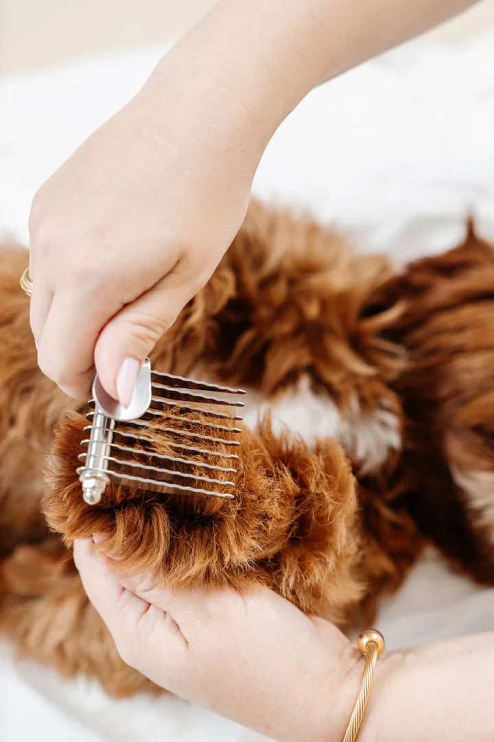 Pup Parent Essentials Grooming Kit (4-Piece) - Image 10