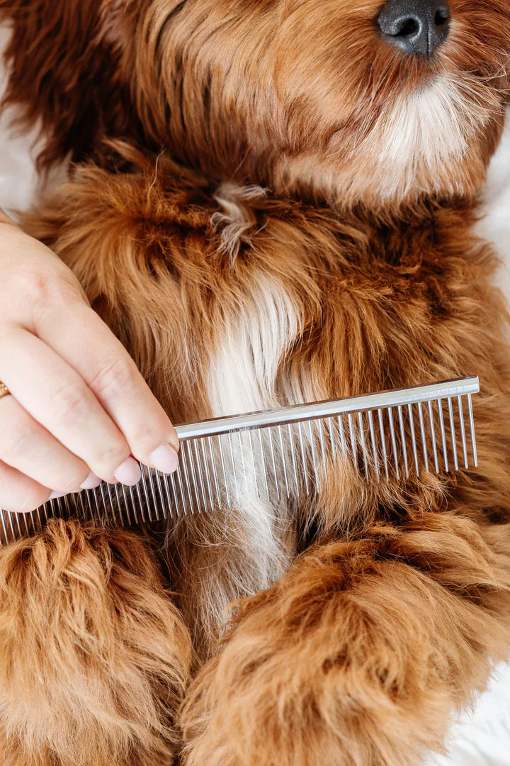 Pup Parent Essentials Grooming Kit (4-Piece) - Image 12