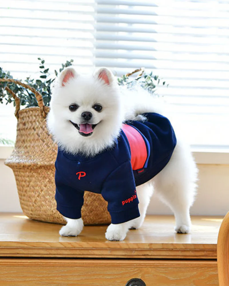 Blaze Long Sleeve Dog Pullover in Navy (FINAL SALE)