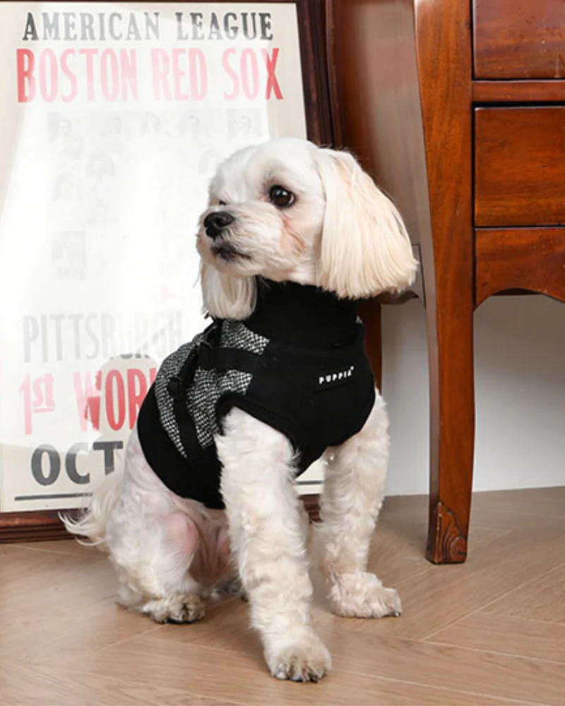 Gaspar Dog Harness Vest in Black Houndstooth - Image 6
