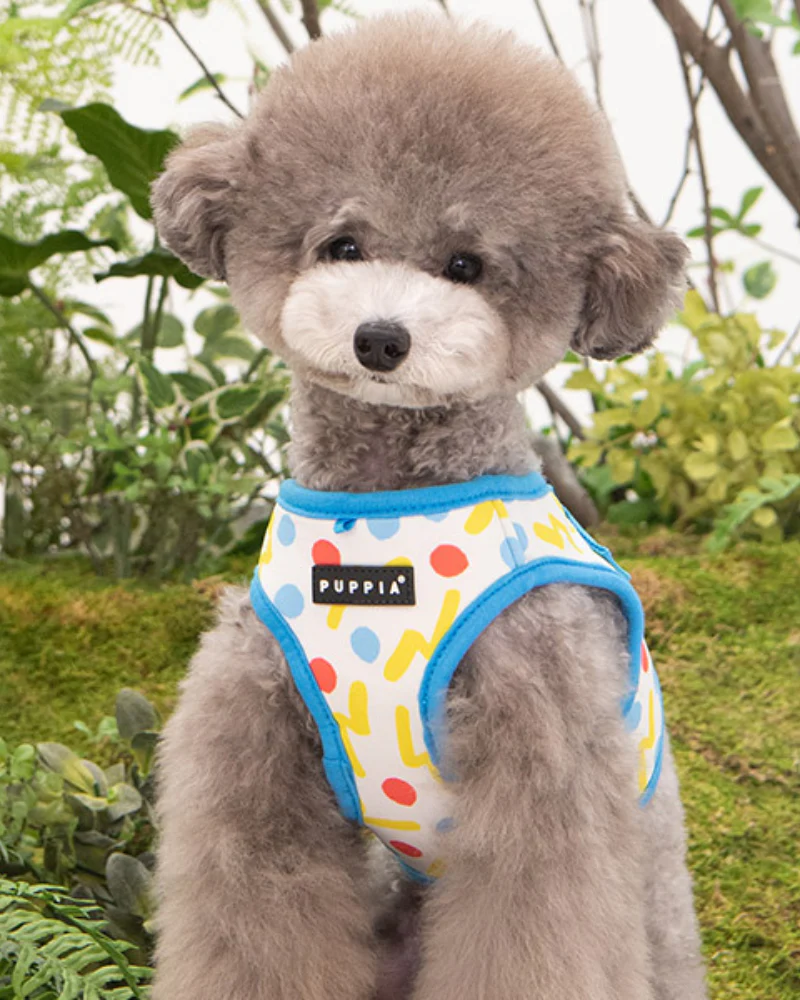 Soft Vest Dog Harness in Fete (FINAL SALE) - Image 10