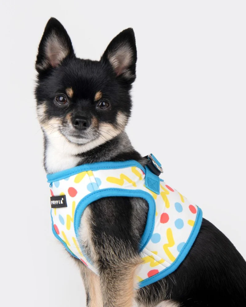 Soft Vest Dog Harness in Fete (FINAL SALE) - Image 2