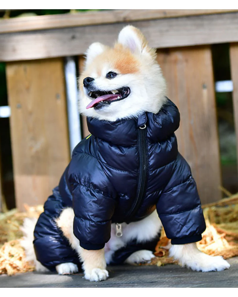 Ultra Light Winter Puffer Jumpsuit in Black (FINAL SALE) - Image 2