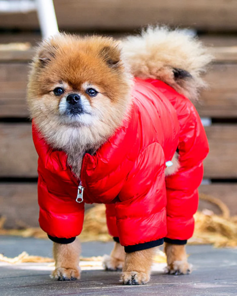 Ultra Light Winter Puffer Jumpsuit in Red - Image 7