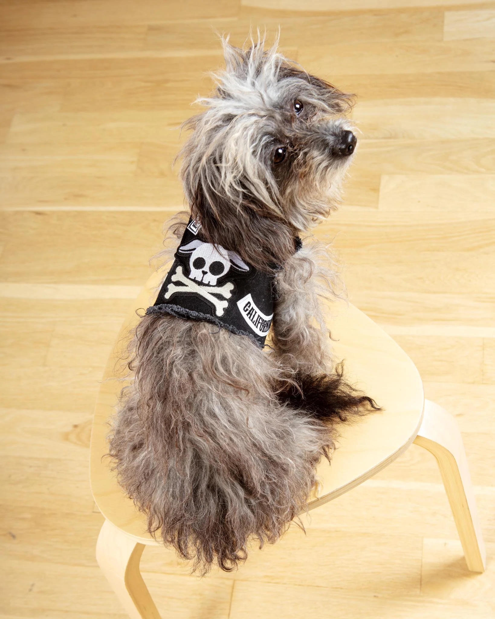 Pups of Anarchy Denim Dog Harness (Made in the USA) - Image 6