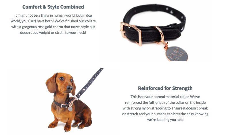 PUPSTYLE | Black Cross City Collar - Image 5
