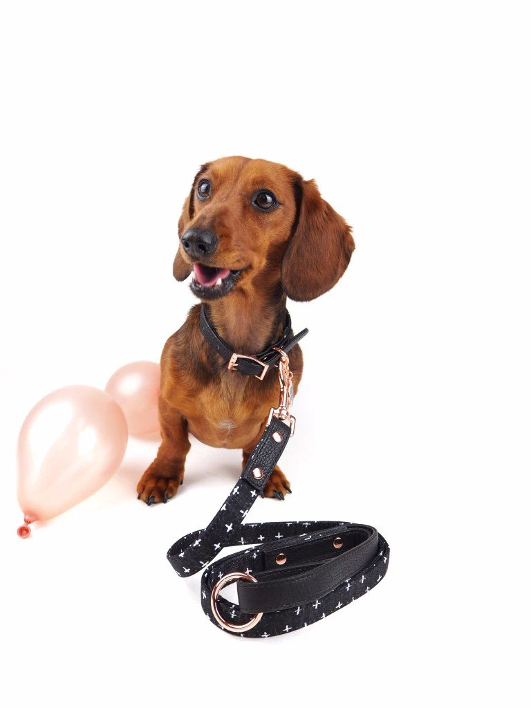 PUPSTYLE | Black Cross City Leash - Image 3