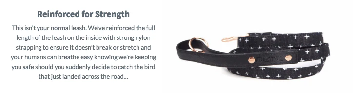 PUPSTYLE | Black Cross City Leash - Image 5