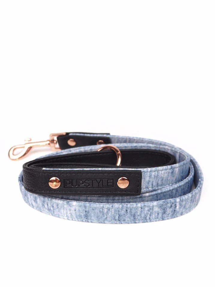 PUPSTYLE | Greys for Days City Leash - Image 2