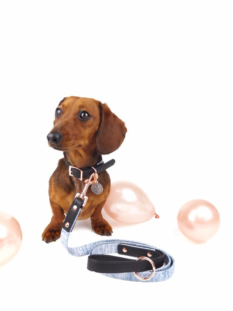 PUPSTYLE | Greys for Days City Leash - Image 3