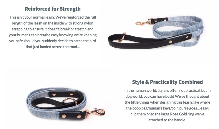 PUPSTYLE | Greys for Days City Leash - Image 4
