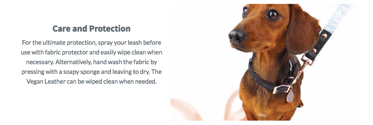 PUPSTYLE | Greys for Days City Leash - Image 6