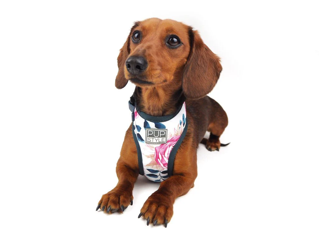 PUPSTYLE | Floral Blooms Harness - Image 3