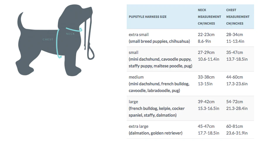 PUPSTYLE | Greys for Days Harness - Image 10