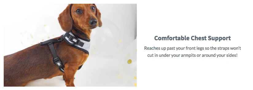 PUPSTYLE | Greys for Days Harness - Image 9