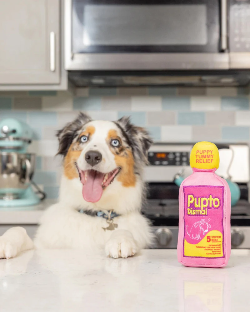 Pupto Dismal Squeaky Plush Dog Toy - Image 4