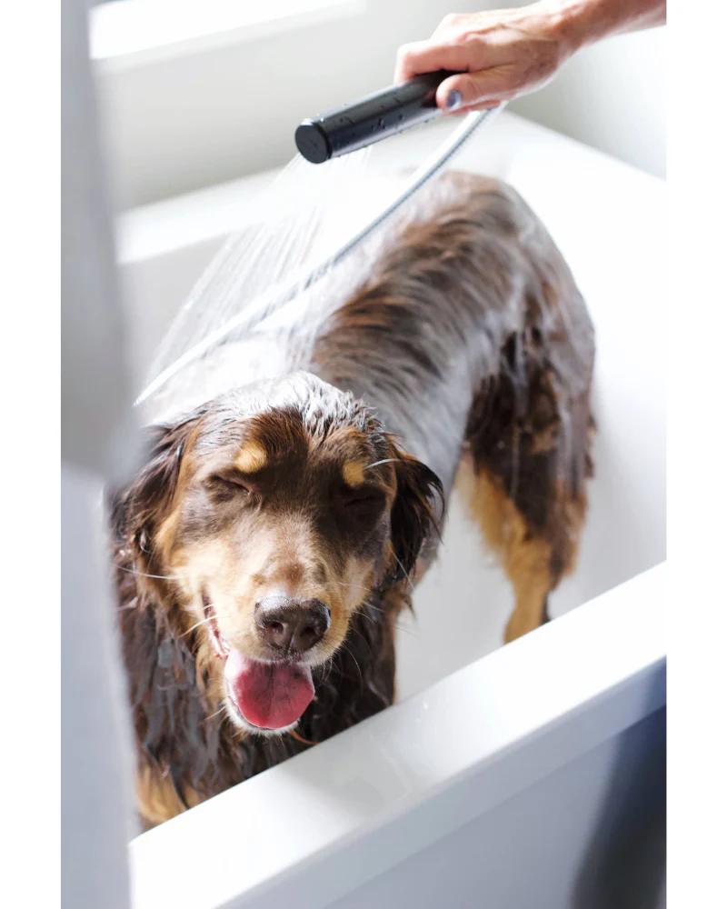 Hypoallergenic Shampoo For Dogs & Cats - Image 4