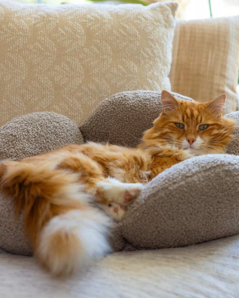 Purrfect Petals Cat Bed in Tan (21") - Image 2