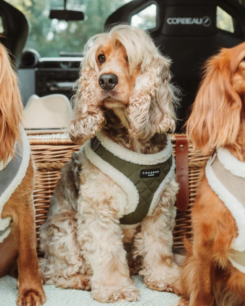 Quilted Adjustable Dog Harness in Khaki - Image 3