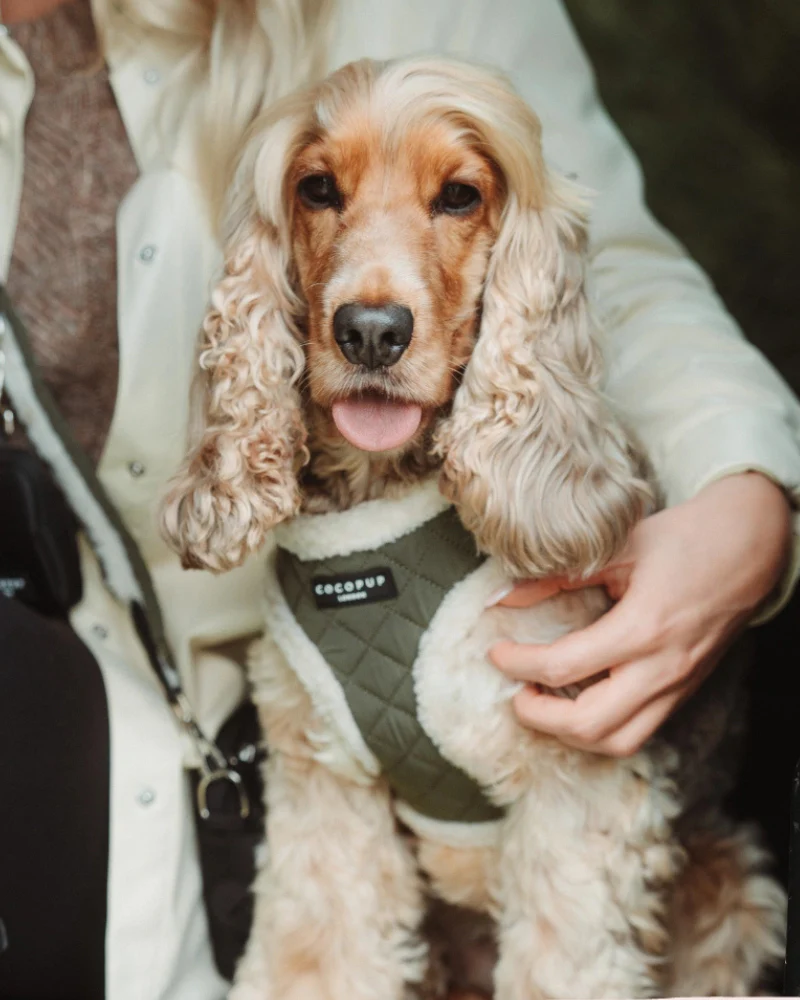 Quilted Adjustable Dog Harness in Khaki - Image 4
