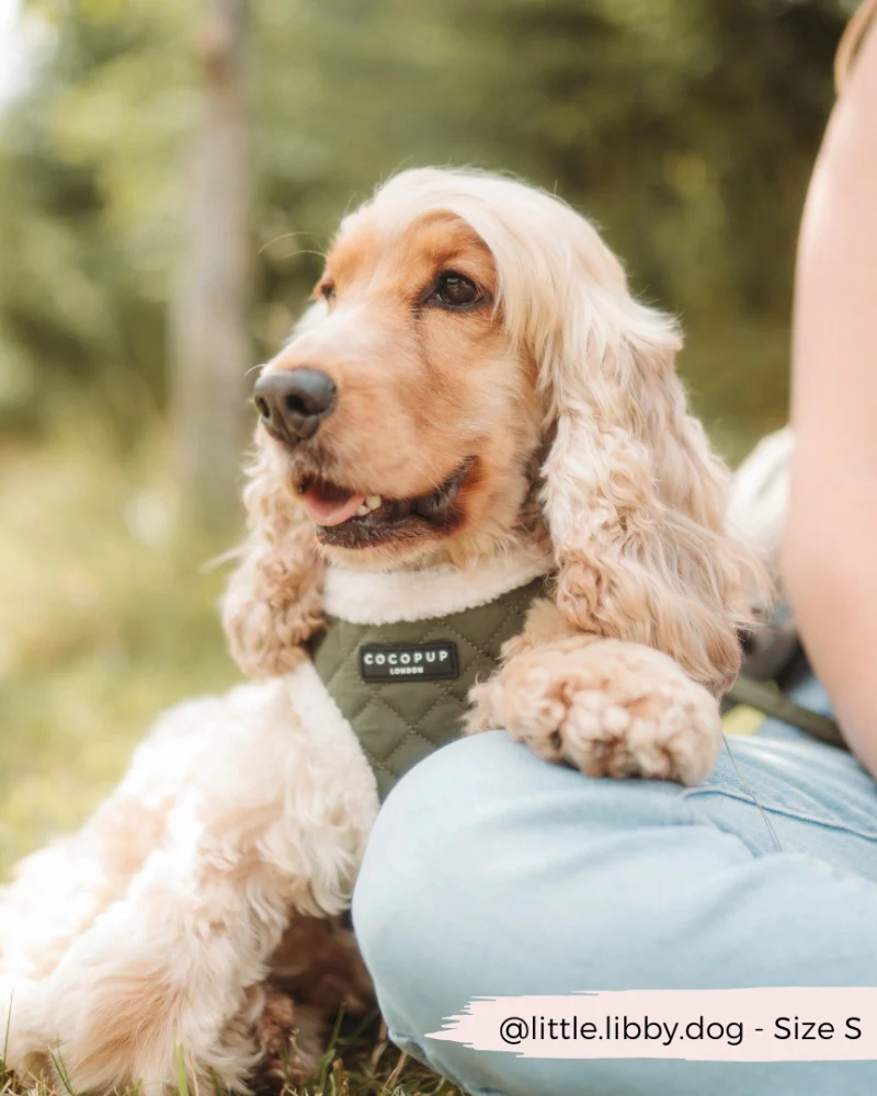 Quilted Adjustable Dog Harness in Khaki - Image 8