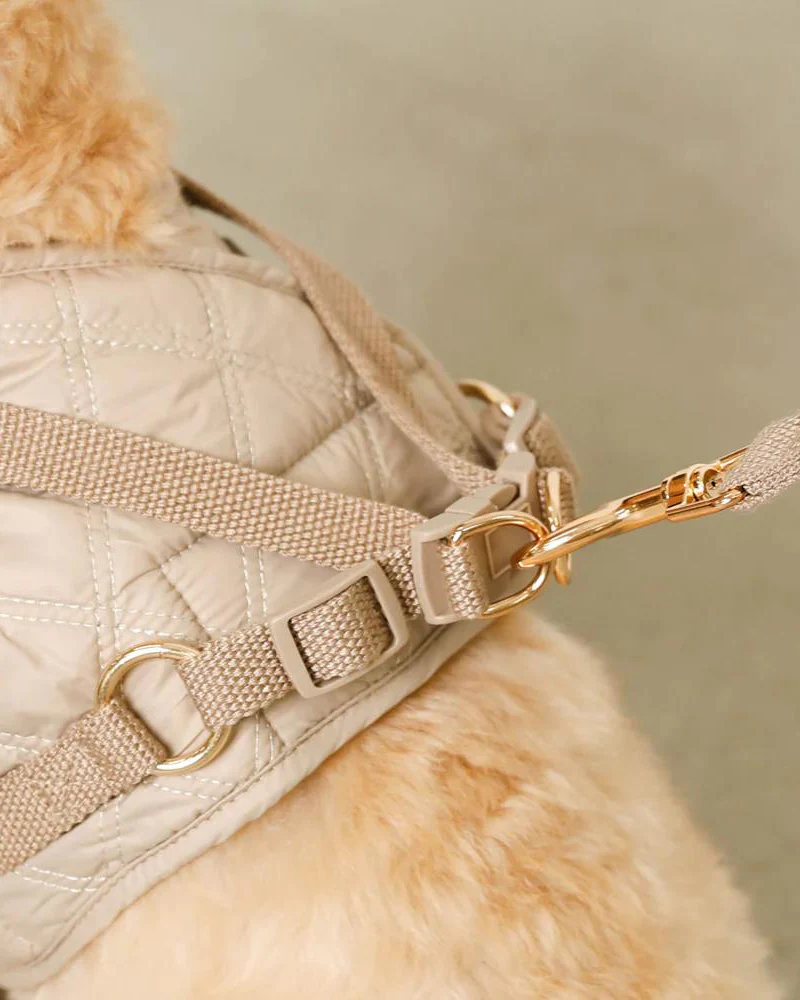 Quilted Puffer Dog Harness & Leash Set (FINAL SALE) - Image 7