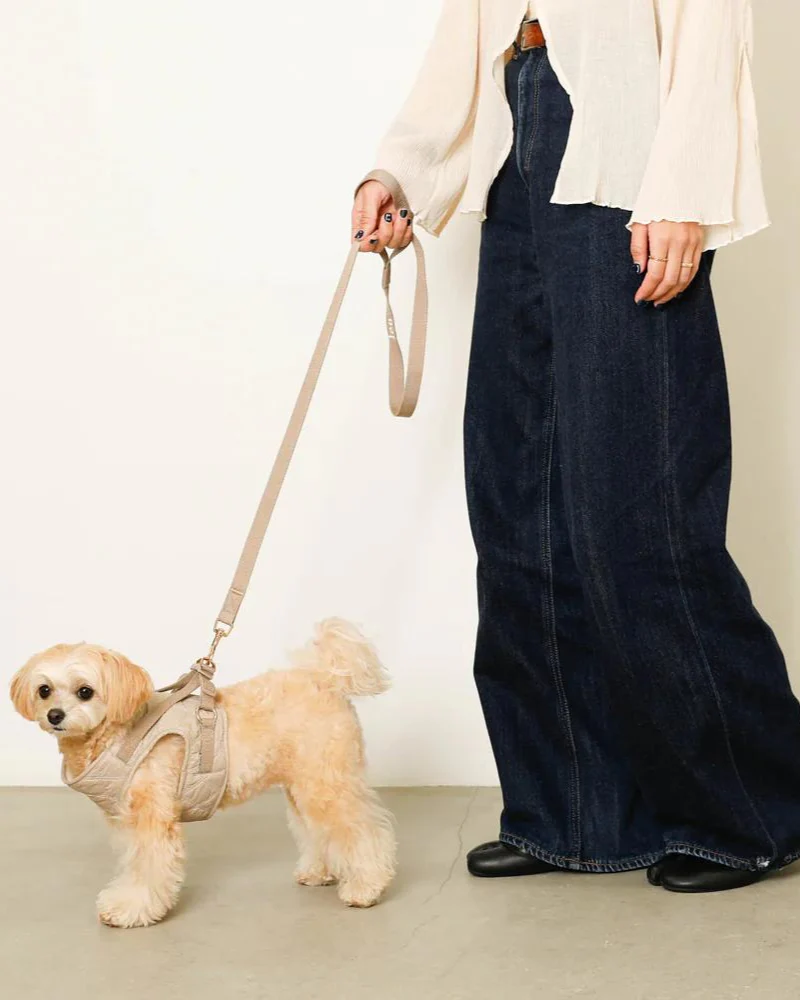 Quilted Puffer Dog Harness & Leash Set (FINAL SALE) - Image 8