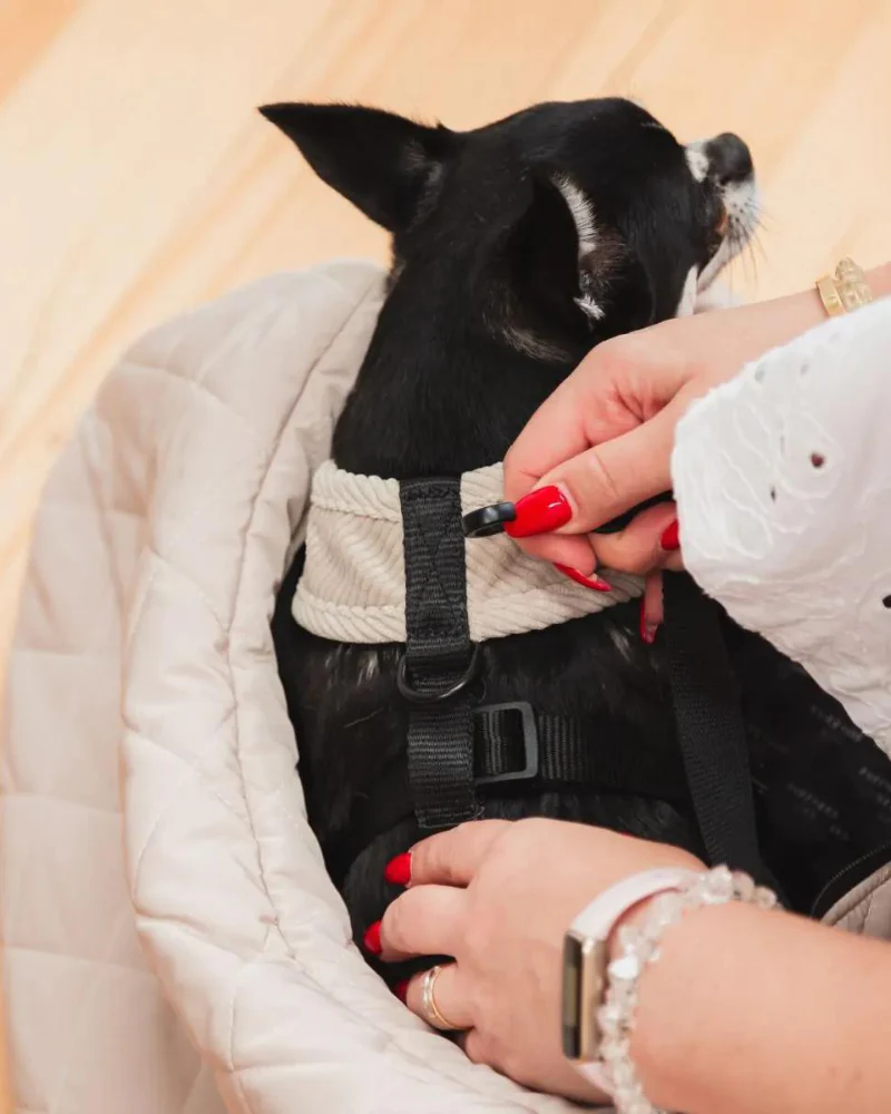 Quilted Crossbody Dog Sling - Image 4