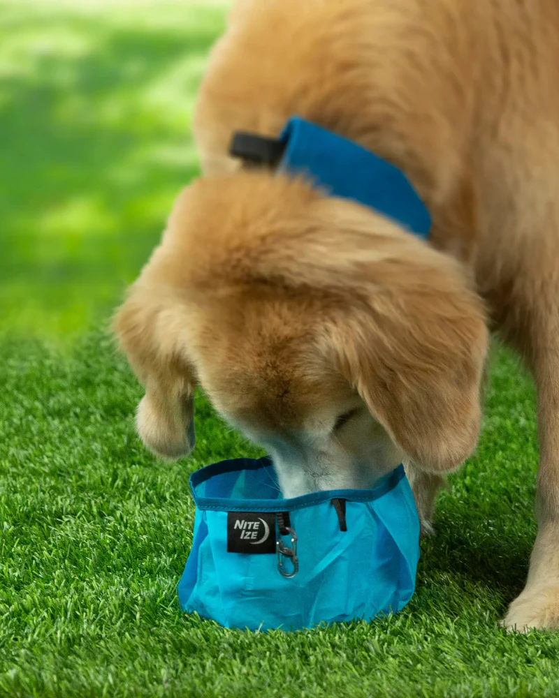 RadDog® Leakproof Collapsible Dog Bowl - Image 4