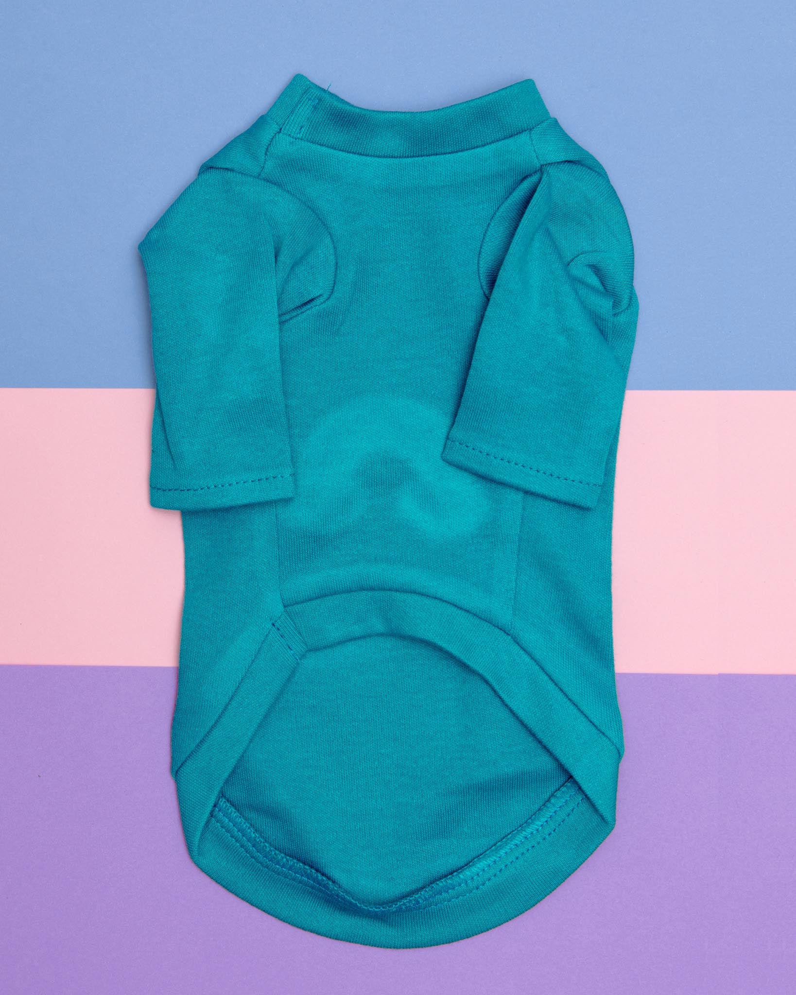 Rainbow Tiny Dog Tee in Aqua (CLEARANCE) - Image 3