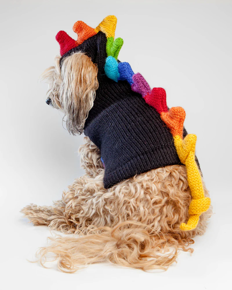 Rainbow Dragon Handknit Dog Sweater w/ Hood - Image 4