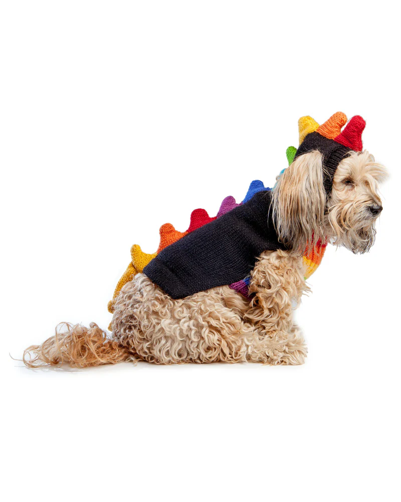 Rainbow Dragon Handknit Dog Sweater w/ Hood - Image 5