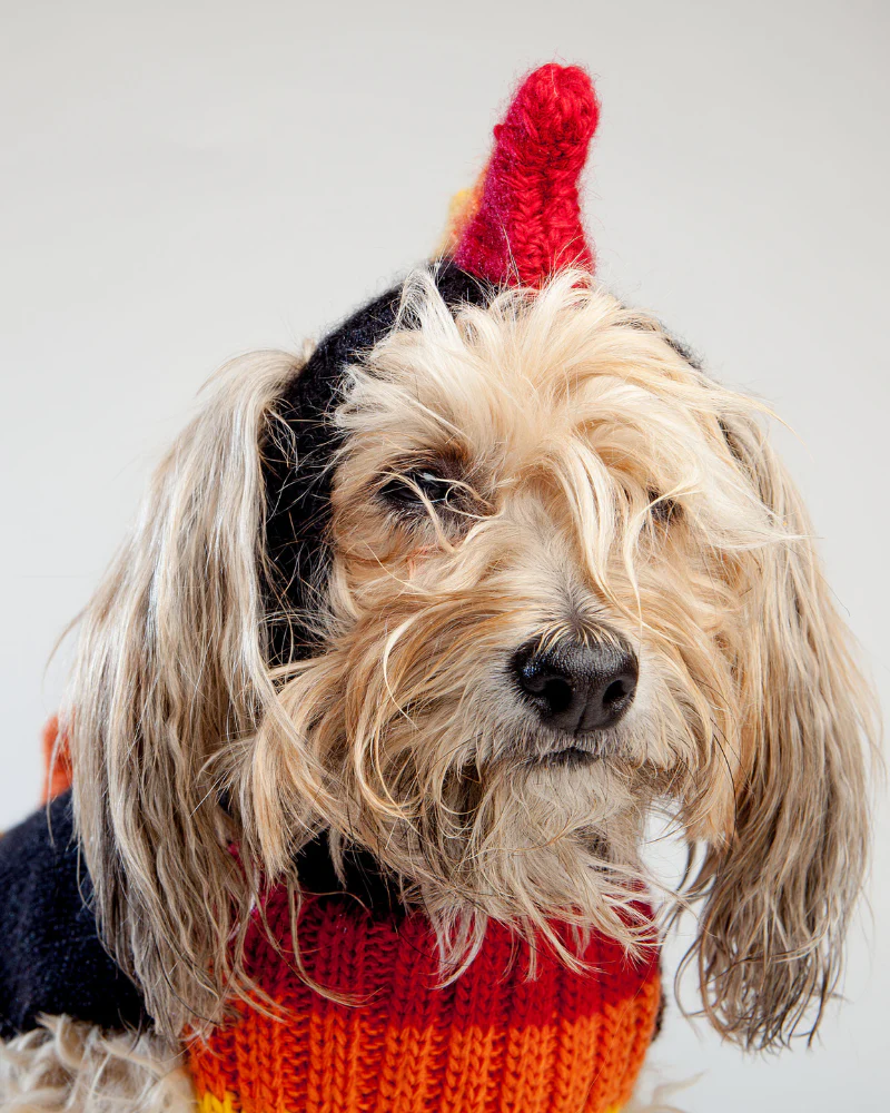 Rainbow Dragon Handknit Dog Sweater w/ Hood - Image 7