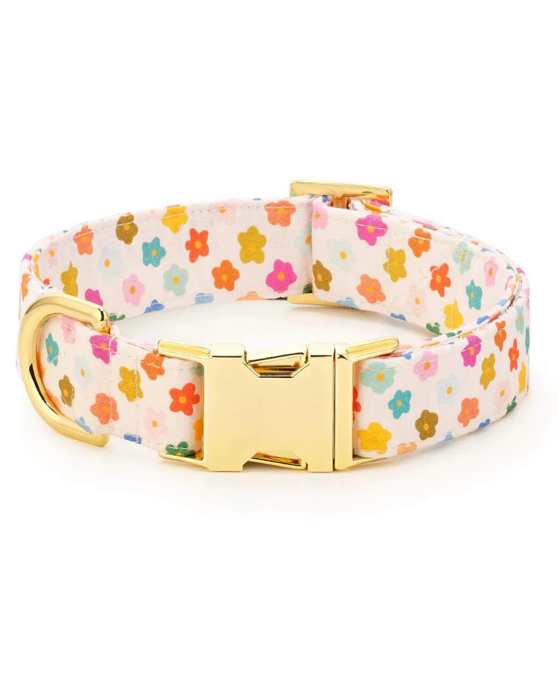 Rainbow Flower Dog Collar (Made in the USA) (FINAL SALE)