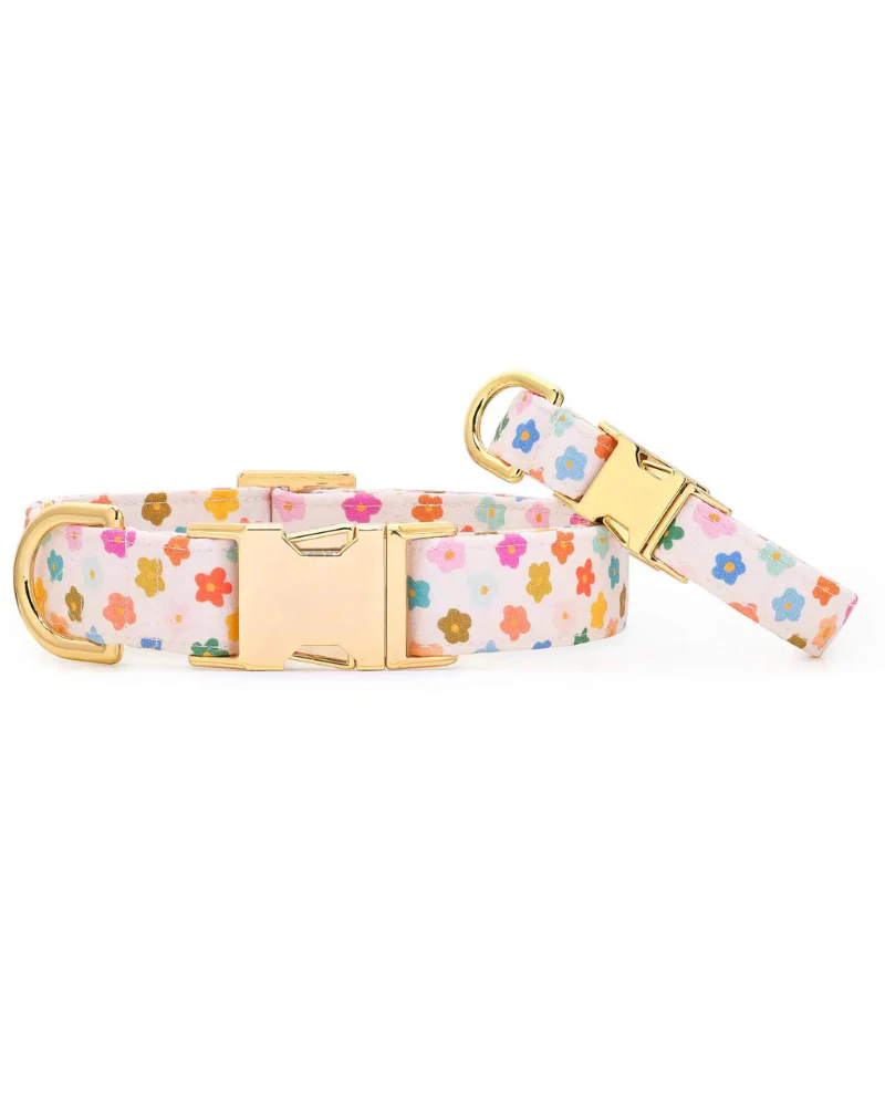 Rainbow Flower Dog Collar (Made in the USA) (FINAL SALE) - Image 2