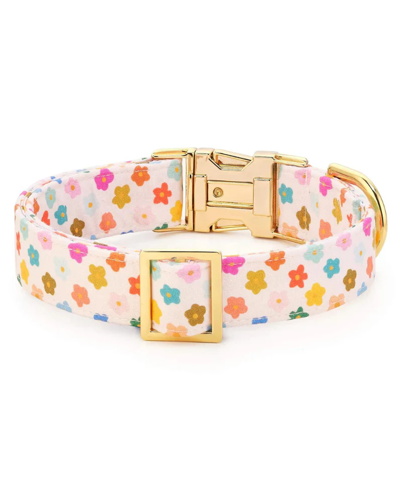 Rainbow Flower Dog Collar (Made in the USA) (FINAL SALE) - Image 3