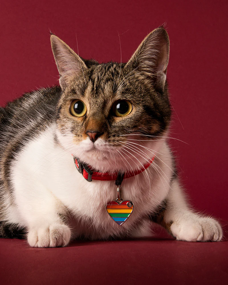 Rainbow Heart Custom Pet ID Tag - Image 2