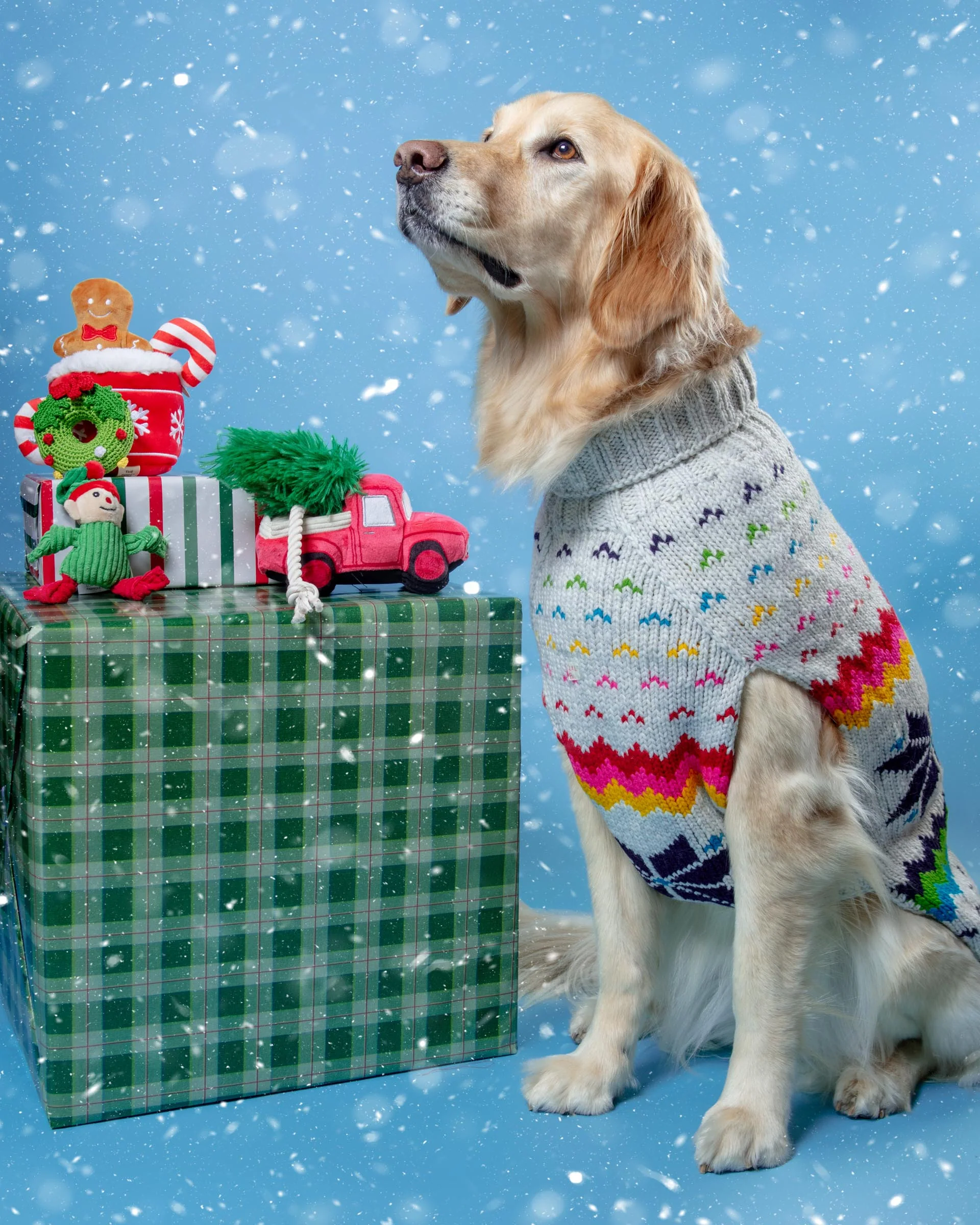 Rainbow Snowflake Wool Dog Sweater (FINAL SALE)