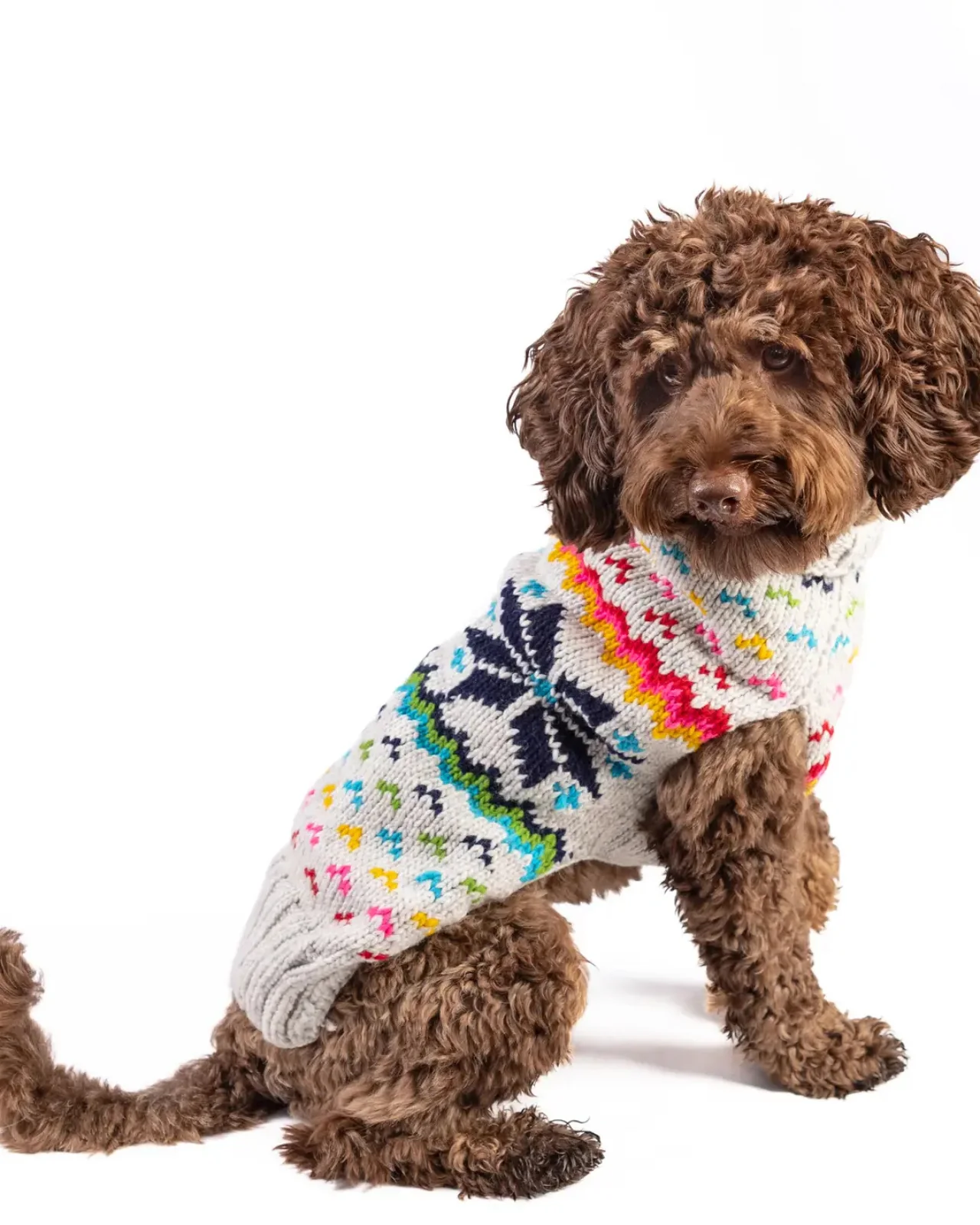 Rainbow Snowflake Wool Dog Sweater (FINAL SALE) - Image 6