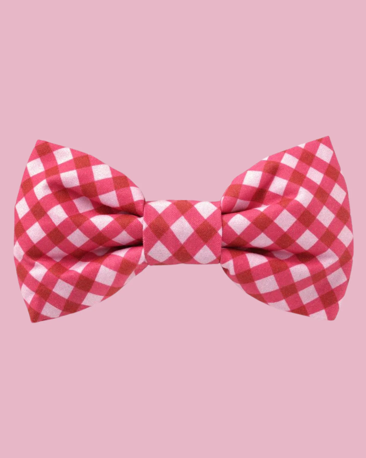 Raspberry Gingham Dog Bow Tie (Made in the USA) (FINAL SALE) - Image 2