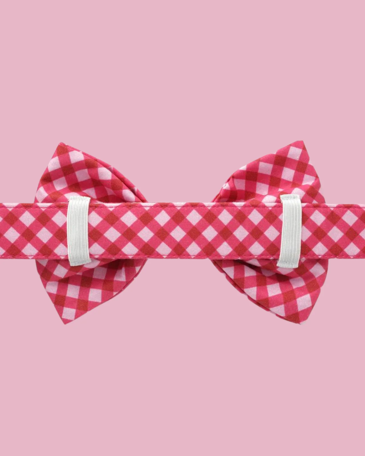Raspberry Gingham Dog Bow Tie (Made in the USA) (FINAL SALE) - Image 3