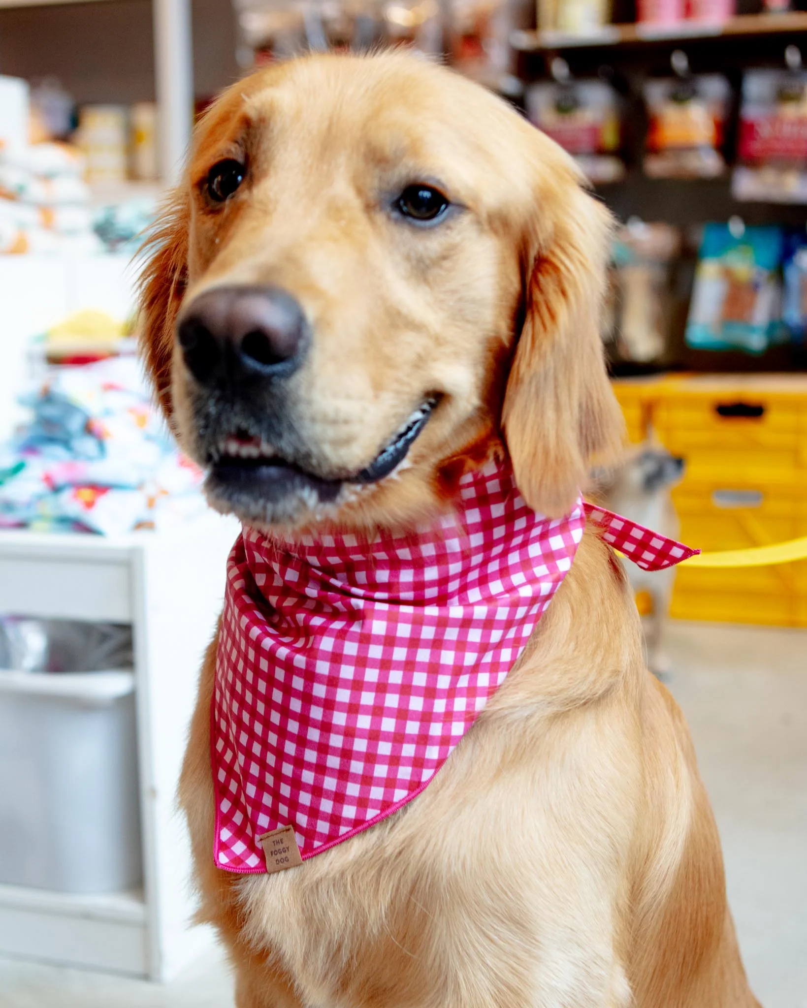 Raspberry Gingham Dog Bandana (Made in the USA) (FINAL SALE)
