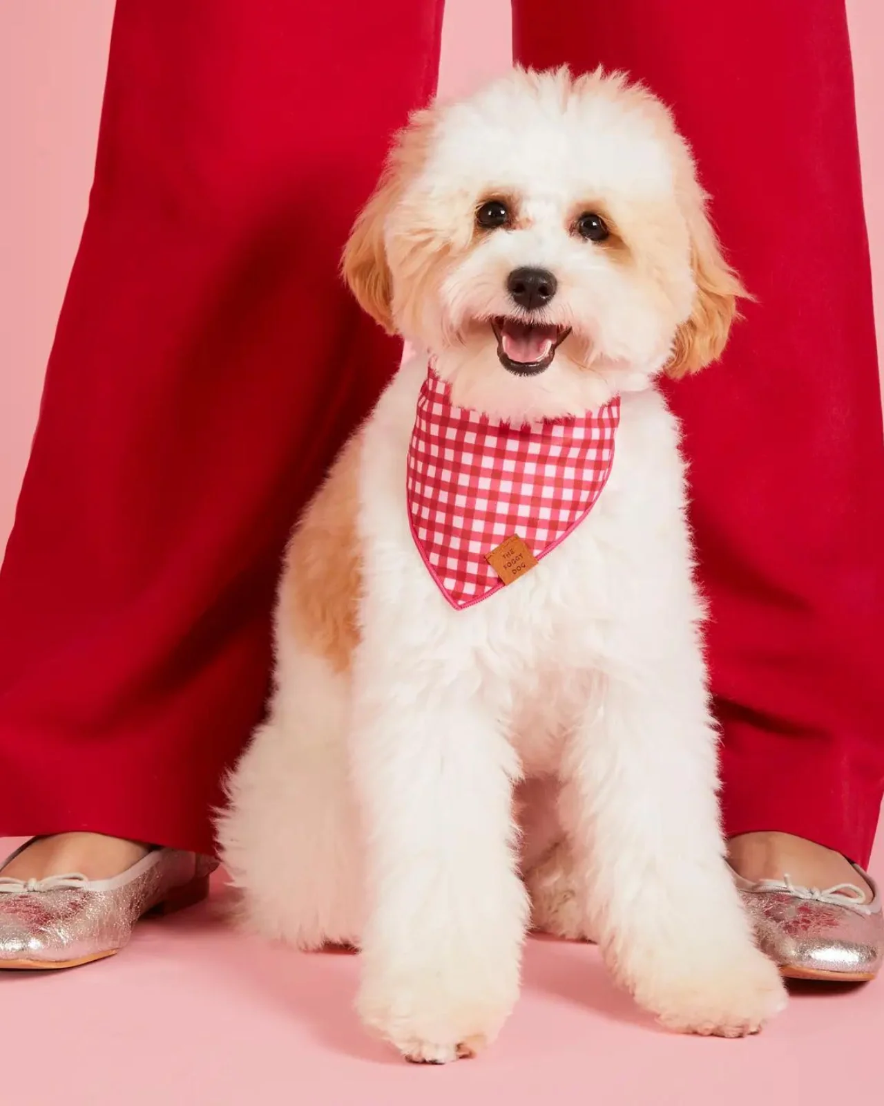 Raspberry Gingham Dog Bandana (Made in the USA) (FINAL SALE) - Image 3