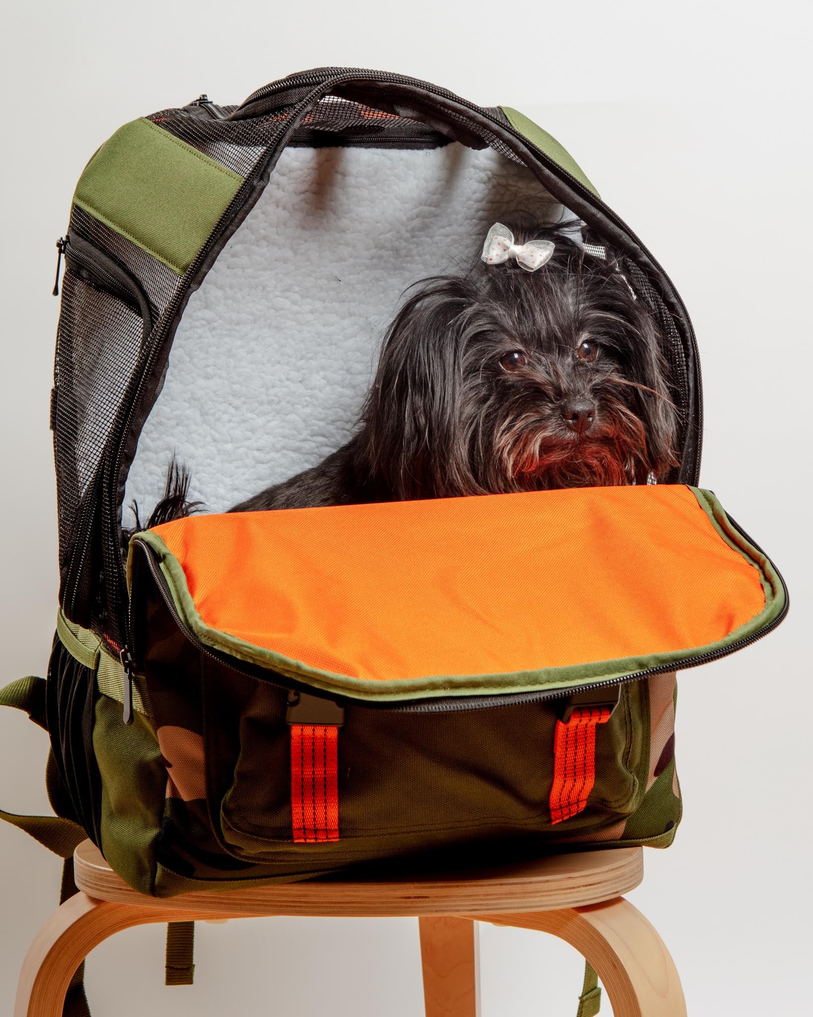 Ready-For-Adventure Pet Backpack (Airline Compliant) - Image 5