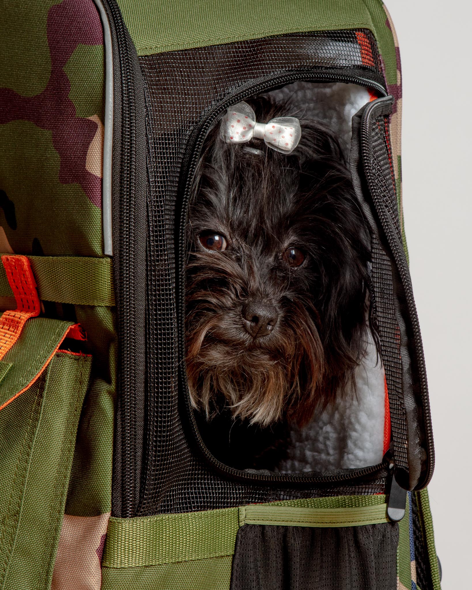 Ready-For-Adventure Pet Backpack (Airline Compliant) - Image 6